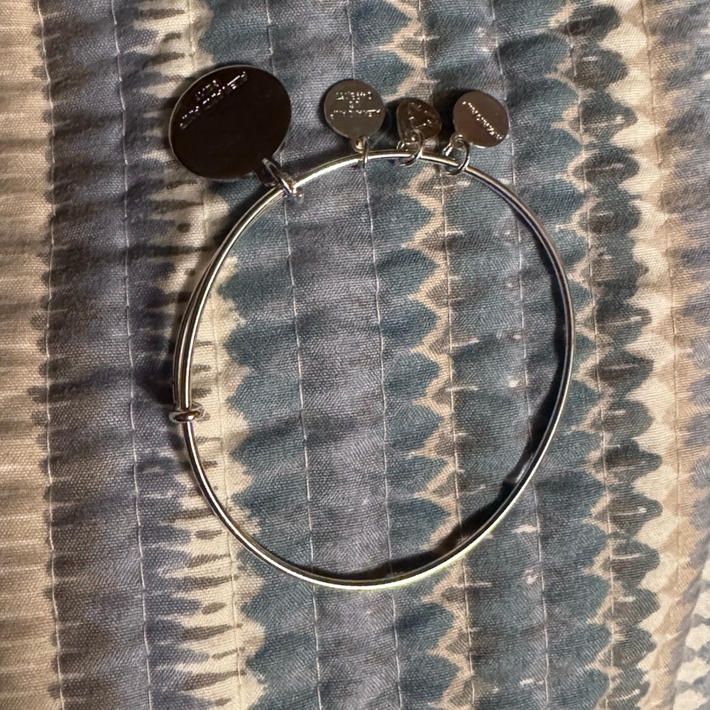 U.S. Air Force Silver Charm Bracelet - Picture 4 of 4